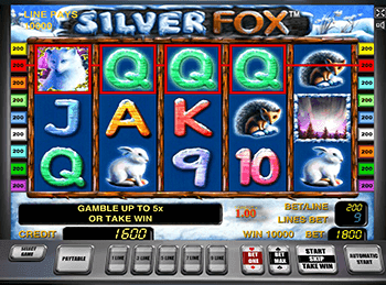 silver fox игровой автомат